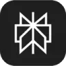 WordPress Perplexity Plugin icon